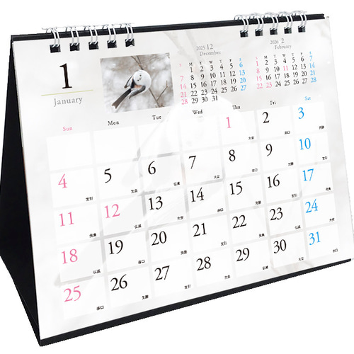 エレファントカシマシ 2002年カレンダー THE LIVE！！2001 レア V6