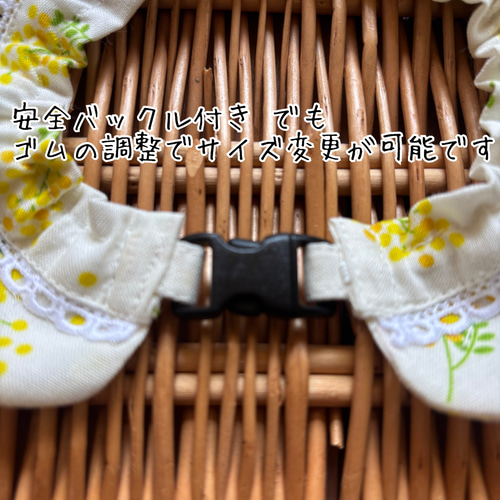 猫ちゃんザビエル首輪プレミアム たっぷりギャザー meow リード・首輪