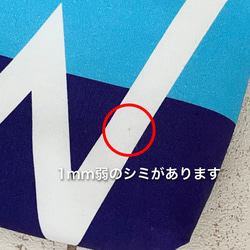 ワケありな逸品《送料無料》ふんわりミニポーチ 海 3枚目の画像