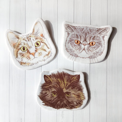 エキゾチックショートヘア のおすすめ人気通販 検索結果｜Creema