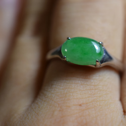 RG10-86 一点物 シルバー ミャンマー産 氷糯種 果緑 本翡翠 ヒスイ 指輪 フリーサイズ 金属アレルギー対応 8枚目の画像