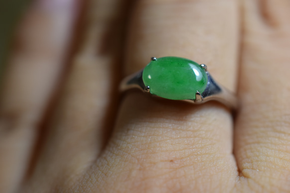 RG10-86 一点物 シルバー ミャンマー産 氷糯種 果緑 本翡翠 ヒスイ 指輪 フリーサイズ 金属アレルギー対応 8枚目の画像