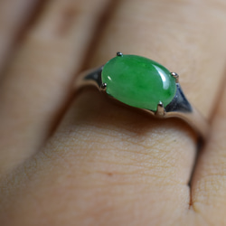 RG10-86 一点物 シルバー ミャンマー産 氷糯種 果緑 本翡翠 ヒスイ 指輪 フリーサイズ 金属アレルギー対応 9枚目の画像