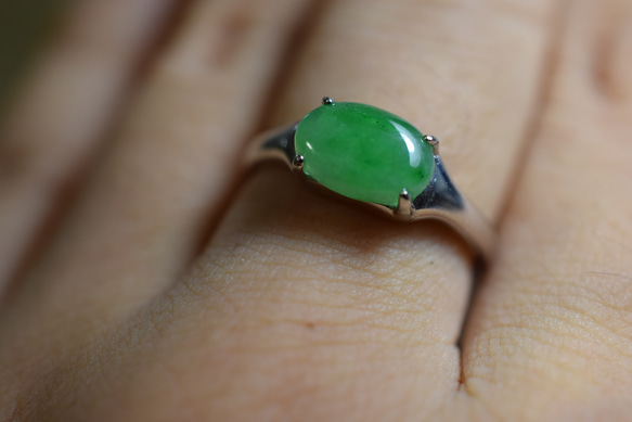 RG10-86 一点物 シルバー ミャンマー産 氷糯種 果緑 本翡翠 ヒスイ 指輪 フリーサイズ 金属アレルギー対応 9枚目の画像