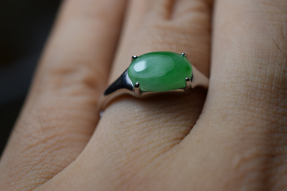 RG10-86 一点物 シルバー ミャンマー産 氷糯種 果緑 本翡翠 ヒスイ 指輪 フリーサイズ 金属アレルギー対応 7枚目の画像