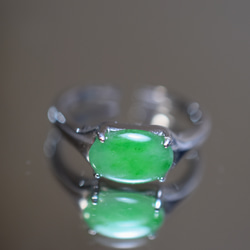 RG10-86 一点物 シルバー ミャンマー産 氷糯種 果緑 本翡翠 ヒスイ 指輪 フリーサイズ 金属アレルギー対応 1枚目の画像