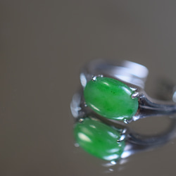 RG10-86 一点物 シルバー ミャンマー産 氷糯種 果緑 本翡翠 ヒスイ 指輪 フリーサイズ 金属アレルギー対応 3枚目の画像