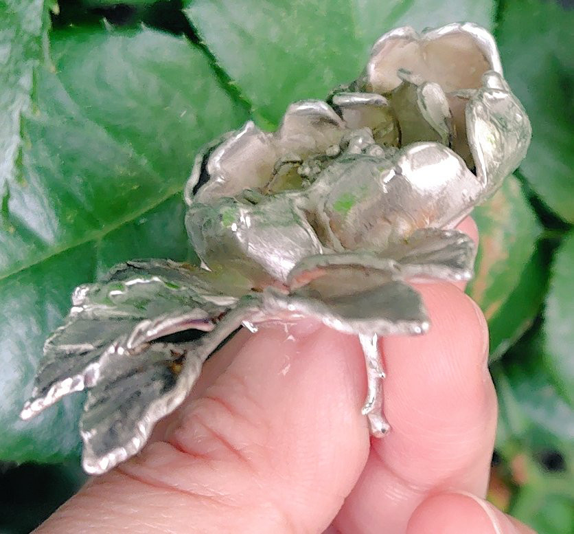 フリーサイズ・銀の指環：《アルバ　セミプレナ/Alba Semi-plena》