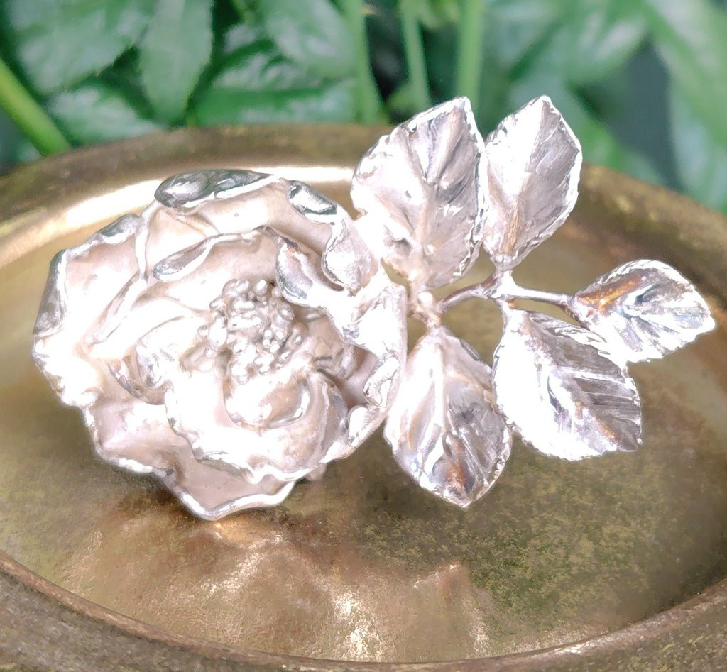 フリーサイズ・銀の指環：《アルバ　セミプレナ/Alba Semi-plena》