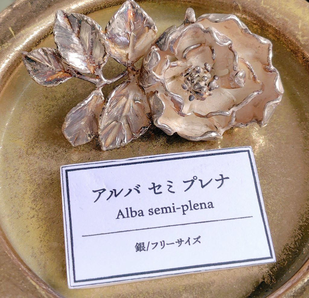 フリーサイズ・銀の指環：《アルバ　セミプレナ/Alba Semi-plena》