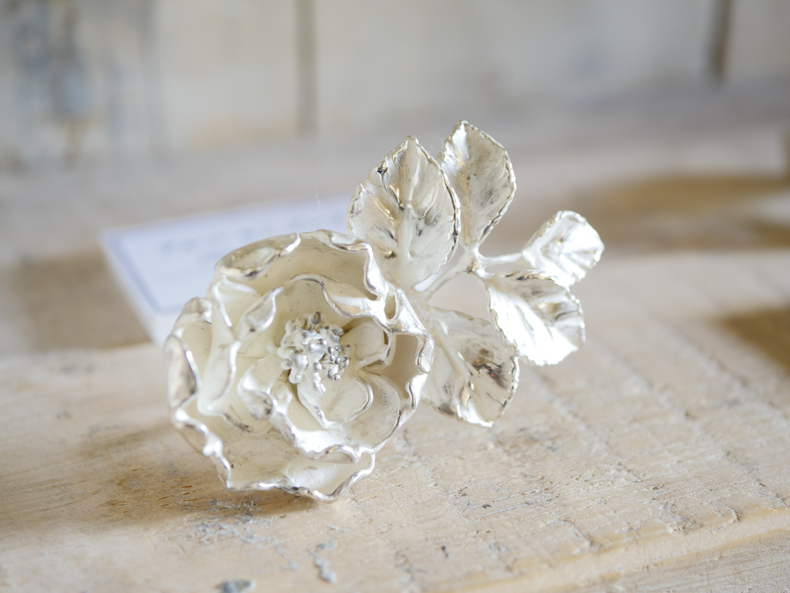 フリーサイズ・銀の指環：《アルバ　セミプレナ/Alba Semi-plena》