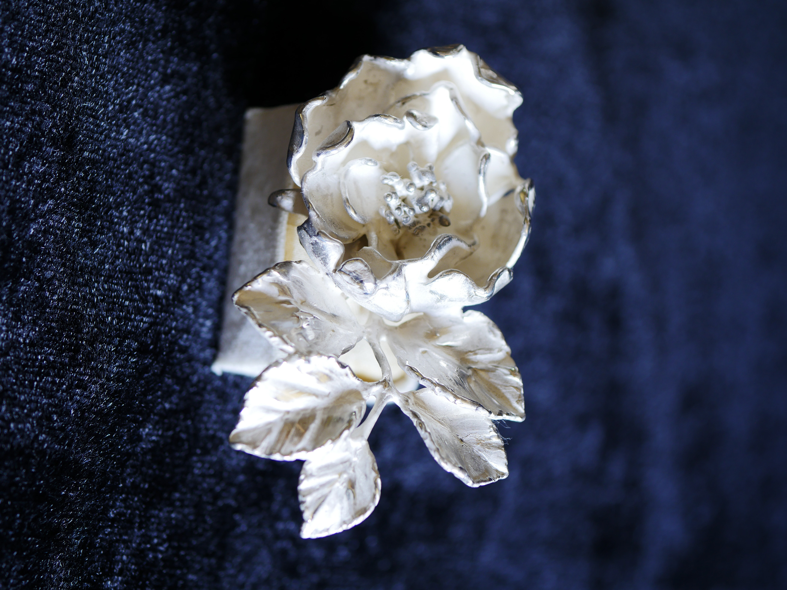 フリーサイズ・銀の指環：《アルバ　セミプレナ/Alba Semi-plena》