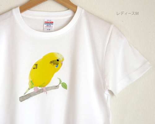 bf896b2da764a05ec9dde2a65ea321