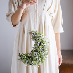 朝の月】アナベルとスターチスの月型フライングボール＊ボールリース