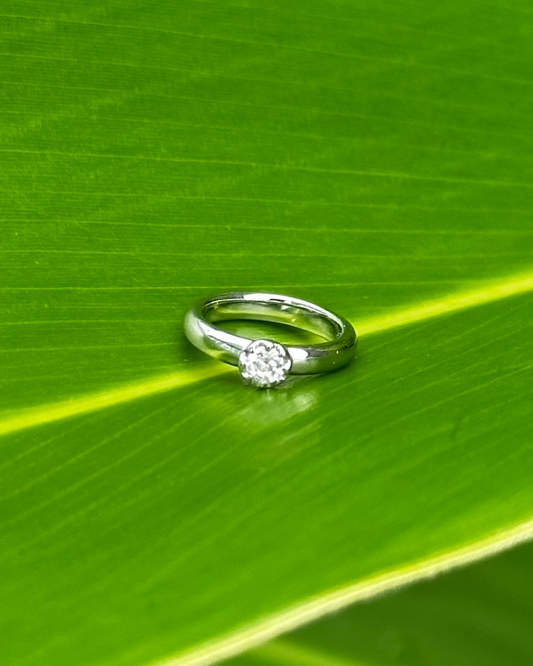 Baby Ring - Sunkissed〈6月の誕生石 ムーンストーン / プラチナ950〉