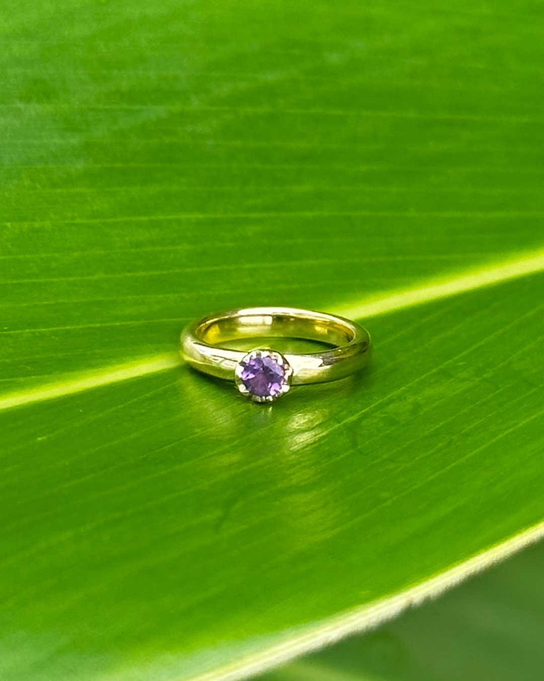Baby Ring - Sunkissed〈2月の誕生石 アメシスト / K18イエローゴールド〉