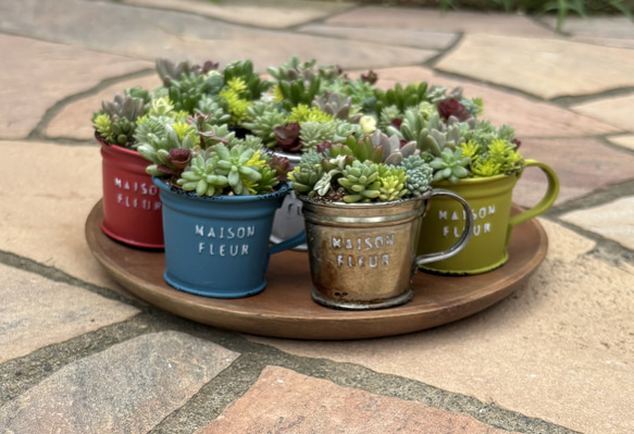 ひい様ご専用♥そのまま飾れる寄せ植え♥ ひい様ご専用♥そのまま飾れる寄せ植え♥ ひい様ご専用♥そのまま