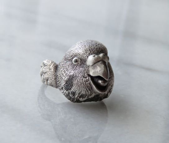 怒りのセキセイインコ