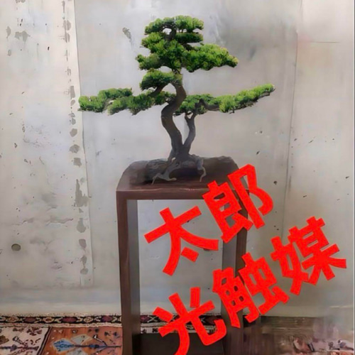 光触媒　人工観葉植物　ウォールグリーン　フェイクグリーン　盆栽bonsai403 光触媒 人工観葉植物 ウォールグリーン フェイクグリーン 盆栽bonsai403