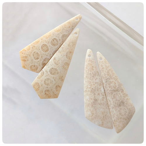 フォシルコーラル ライトベージュ～ベージュグレー 30〜33番 天然石