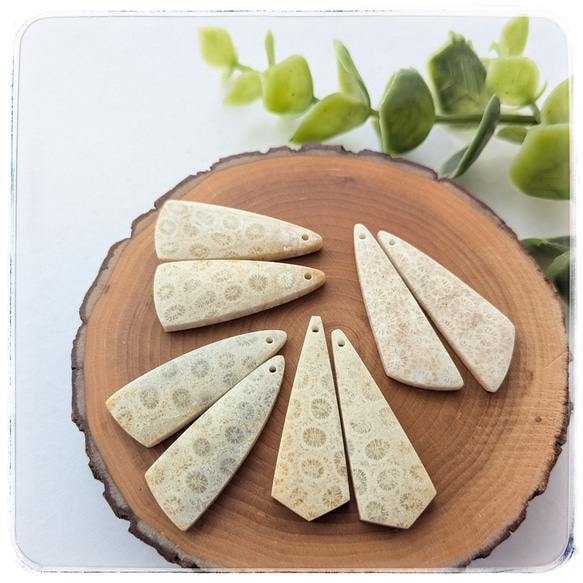 フォシルコーラル ライトベージュ～ベージュグレー 30〜33番 天然石