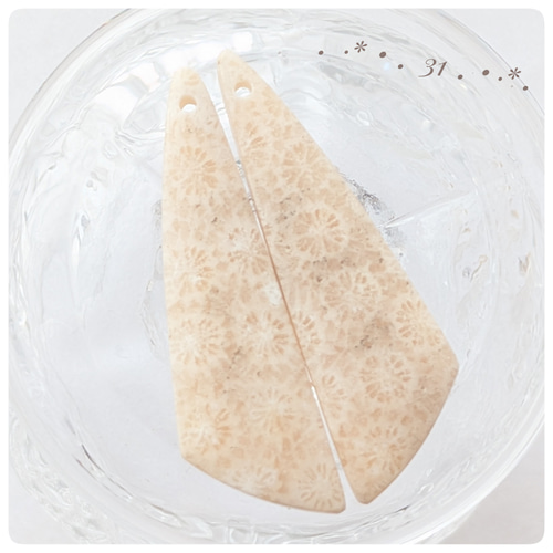 フォシルコーラル ライトベージュ～ベージュグレー 30〜33番 天然石