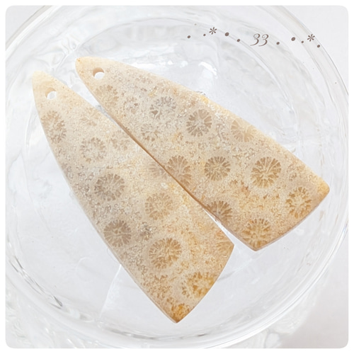 フォシルコーラル ライトベージュ～ベージュグレー 30〜33番 天然石