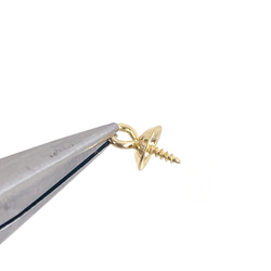 ess76-3 [20裝] 約6毫米希頓帽，18KGP 醫用316L不鏽鋼 第2張的照片