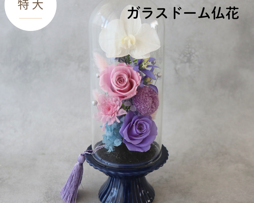 1148c20eb58ad9abe53a3732a7f49e