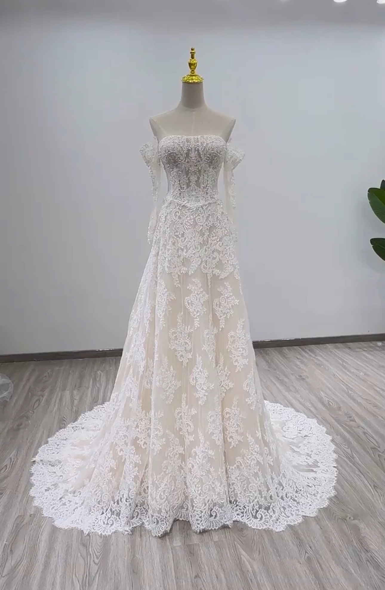 取り外し可能お袖　2025春婚秋婚　スレンダーライン　優雅なシルエット　贅沢な総レース　シースルー　パーディードレス挙式