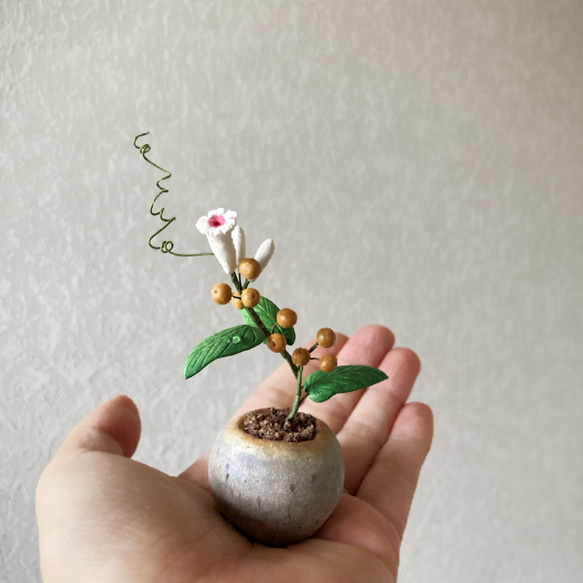 9718.bud 粘土の鉢植え ヘクソカズラ 5枚目の画像