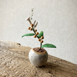 9718.bud 粘土の鉢植え ヘクソカズラ 2枚目の画像