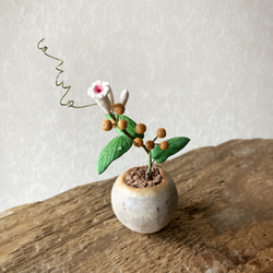 9718.bud 粘土の鉢植え ヘクソカズラ 4枚目の画像