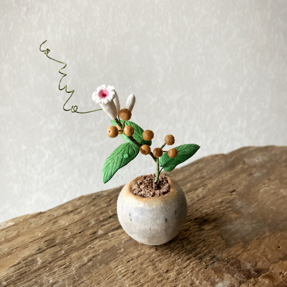 9718.bud 粘土の鉢植え ヘクソカズラ 4枚目の画像