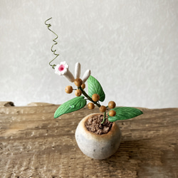 9718.bud 粘土の鉢植え ヘクソカズラ 3枚目の画像