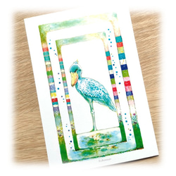 【ハシビロコウ】ポストカード２枚入 2枚目の画像