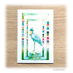 【ハシビロコウ】ポストカード２枚入 1枚目の画像