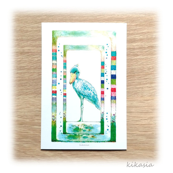 【ハシビロコウ】ポストカード２枚入 1枚目の画像