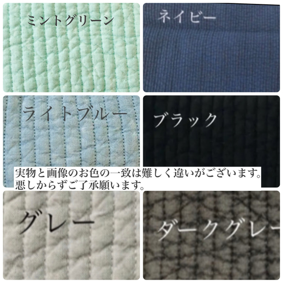 Sサイズ　ライヴリーダイナソー　選べる　minipouch ミニポーチ　ヌビ　コスメポーチ　サニタリーポーチ　恐竜刺繍　 9枚目の画像