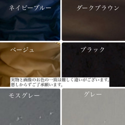 Sサイズ　ライヴリーダイナソー　選べる　minipouch ミニポーチ　ヌビ　コスメポーチ　サニタリーポーチ　恐竜刺繍　 11枚目の画像