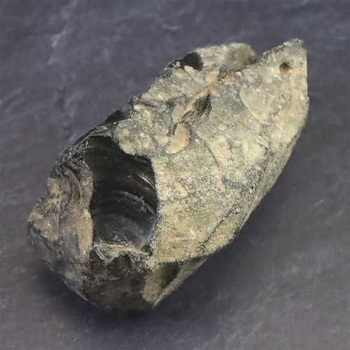 隠岐の島 黒曜石 原石 ディレクトリーカード付 149.2g #56507