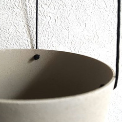 ●数量限定●新作●　希少　ボリュームあり　”シッサス・エレンダニカ　スチールハンギング鉢カバーセット"観葉植物　吊り下げ 8枚目の画像