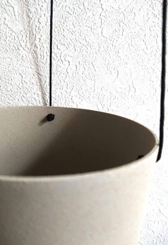 ●数量限定●新作●　希少　ボリュームあり　”シッサス・エレンダニカ　スチールハンギング鉢カバーセット"観葉植物　吊り下げ 8枚目の画像