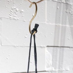 ●数量限定●新作●　希少　ボリュームあり　”シッサス・エレンダニカ　スチールハンギング鉢カバーセット"観葉植物　吊り下げ 9枚目の画像