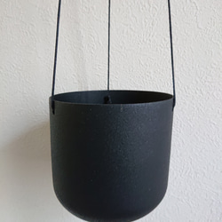 ●数量限定●新作●　希少　ボリュームあり　”シッサス・エレンダニカ　スチールハンギング鉢カバーセット"観葉植物　吊り下げ 10枚目の画像