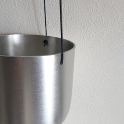 ●数量限定●新作●　希少　ボリュームあり　”シッサス・エレンダニカ　スチールハンギング鉢カバーセット"観葉植物　吊り下げ 15枚目の画像