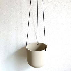 ●数量限定●新作●　希少　ボリュームあり　”シッサス・エレンダニカ　スチールハンギング鉢カバーセット"観葉植物　吊り下げ 7枚目の画像