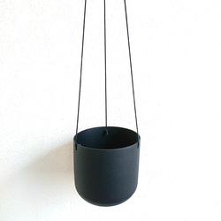 ●数量限定●新作●　希少　ボリュームあり　”シッサス・エレンダニカ　スチールハンギング鉢カバーセット"観葉植物　吊り下げ 11枚目の画像