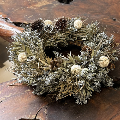 ワイルドフラワー ドライフラワーリース 直径250mm 一点もの No.36