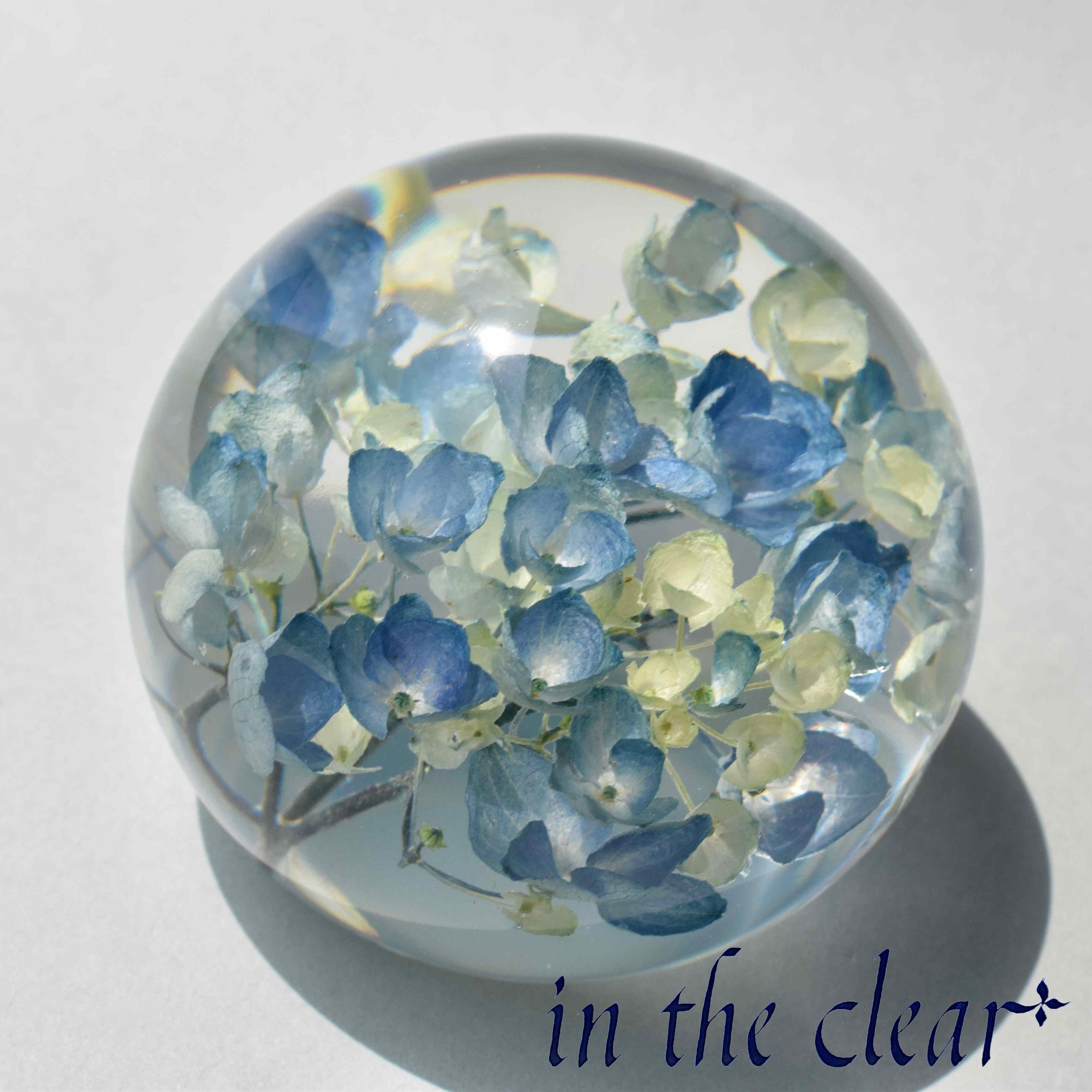 植物標本　紫陽花　水色　レジン　７センチ球体